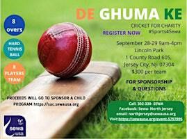 Sewa NY NJ : Sports4Sewa Cricket 2024 | Lincoln Park Cricket Ground