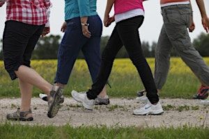 Seasonal Walking Group | Chase | Detroit Public Library