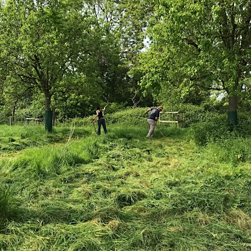 Scything course: a refresher | Gloucestershire Orchard Trust's orchards at Longney