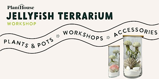 Jellyfish Terrarium Workshop | PlantHouse - Huntersville