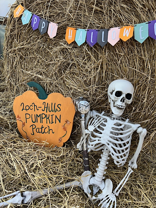 Loch-Hills Pumpkin Patch 2025 | Loch Hills Plant Centre