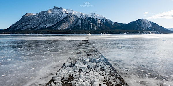 Abraham Lake Bubbles Photography Workshop 2026 | Abraham Lake View Point