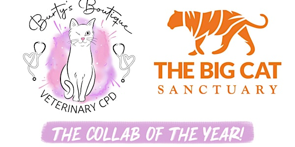 Burty's Boutique Second Big Cat CPD Day at The Big Cat Sanctuary | The Big Cat Sanctuary