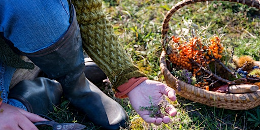 Urban Foraging | Compost Education Centre