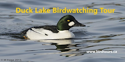 Duck Lake and Nisbet Forest Birdwatching Tour | Flying J Travel Center