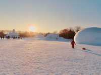 SNOW SCULPTURES & STUNNING SUNSET 