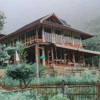 Mori Natural Farm โมริ เนเชอรัลฟาร์ม เชียงใหม่ 🦮