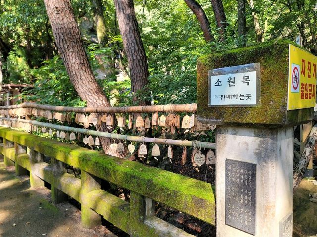 경남 양산 8경 중 하나 홍룡폭포로 come‼️