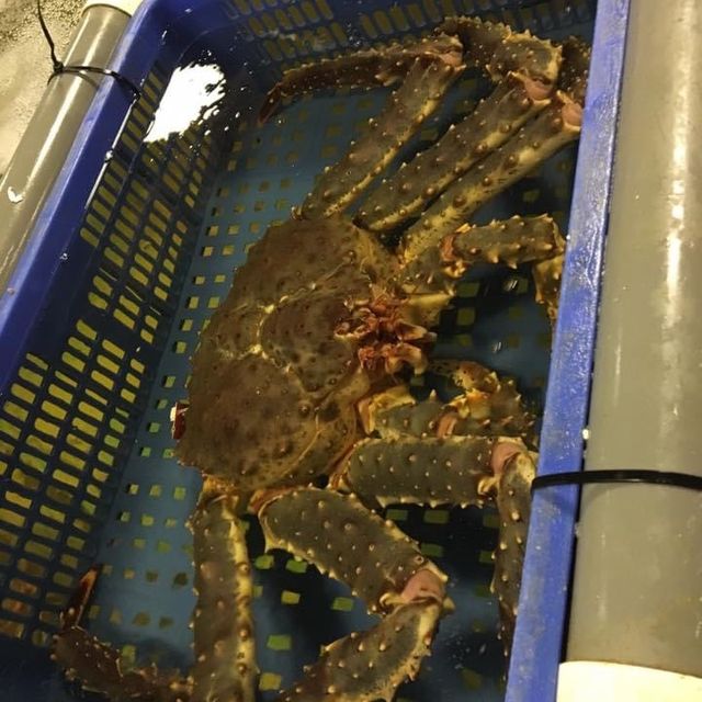 台北海鮮市場🦞餐廳｜上引水產