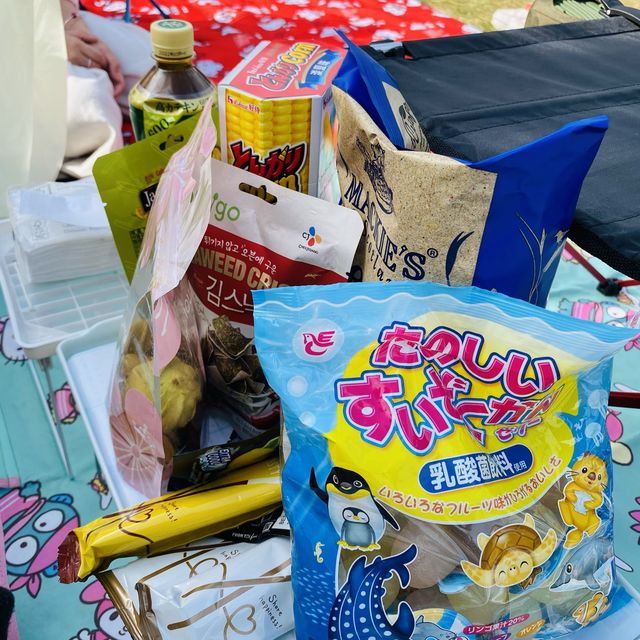 秋冬最岩野餐chill下