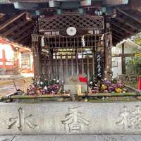 【京都】北野天満宮｜学問の神様🎓✨