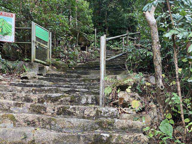 吊鐘賀新春