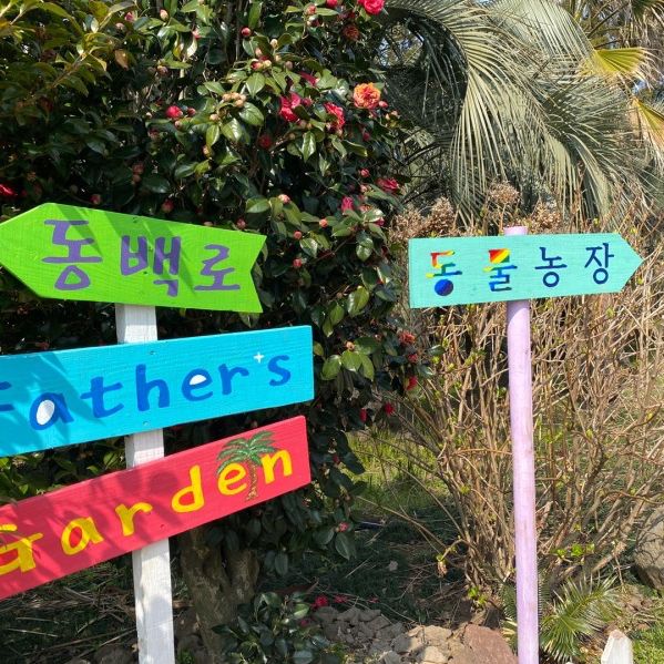 제주 파더스가든, 동백꽃 보러오세요🌺