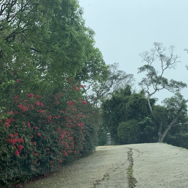 非去不可的雲夢山丘