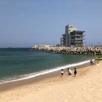 오션뷰가 완벽했던 삼척 쏠비치! #대명리조트 #쏠비치