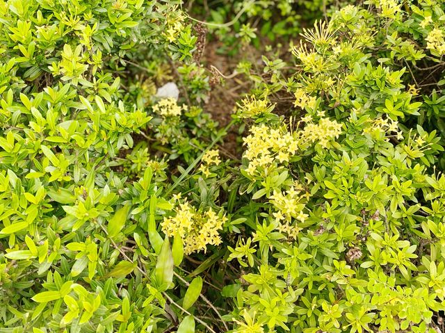 屯門海濱花園