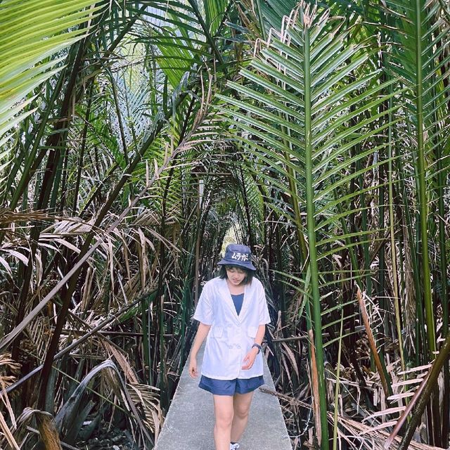 ปั่นจักรยานชมวิวที่บางกระเจ้า
