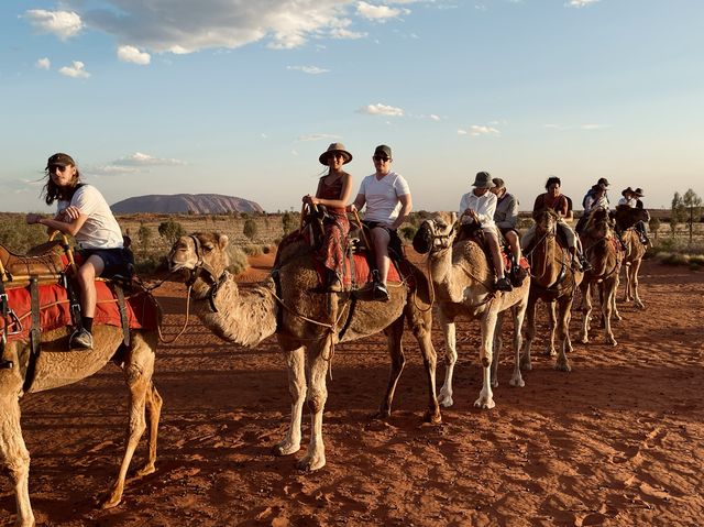 Sunset Camel Ride in Uluru ♥️