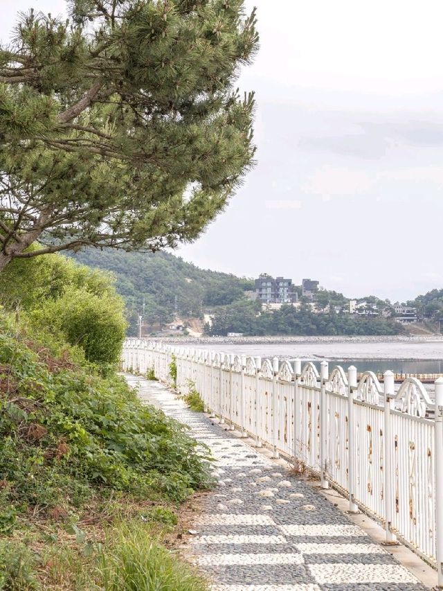 인천 가볼만한 곳, 선재도