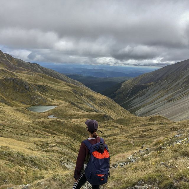 뉴질랜드 대자연🇳🇿 남섬의 트레킹 코스를 소개합니다⛰