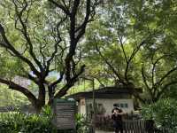 Nature Park in the Center of Makati