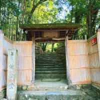 【京都】名庭園と光と影