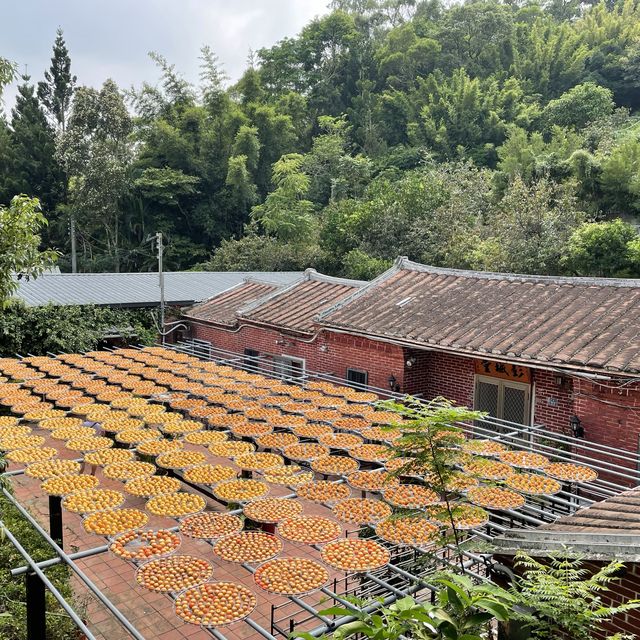 新埔金漢柿餅觀光園區