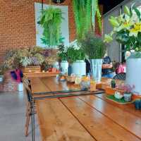 คาเฟ่ สุดเก๋ ที่วังน้ำเขียว