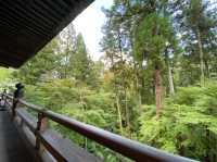 【滋賀】源氏物語の始まりの地！石山寺をご紹介