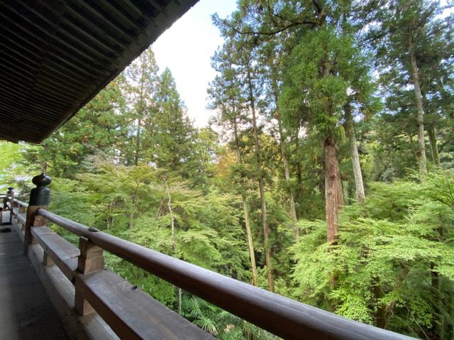 【滋賀】源氏物語の始まりの地！石山寺をご紹介
