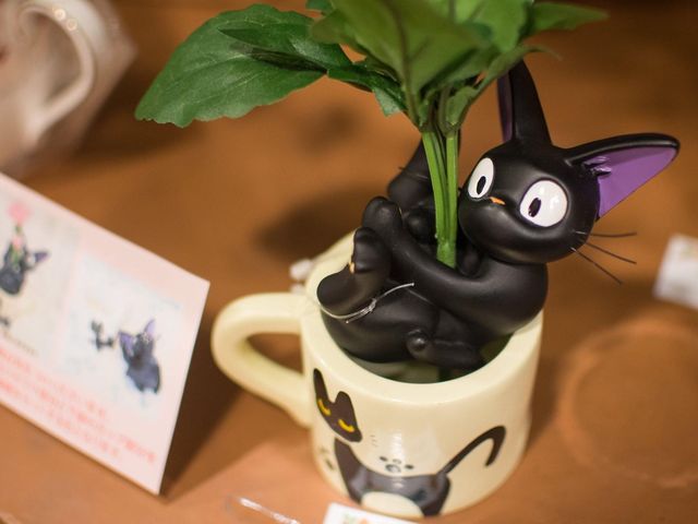Totoro collectibles