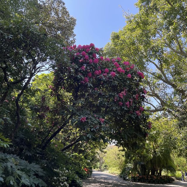 royal botanic gardens 