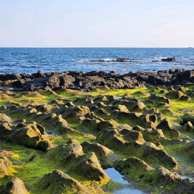 제주 서귀포시 사계해변🌊