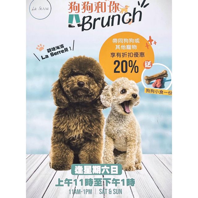 【La Serre - 海濱玻璃屋🌊Chill嘆早午餐】