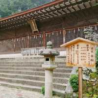 日本最古の神社　世界遺産　宇治上神社