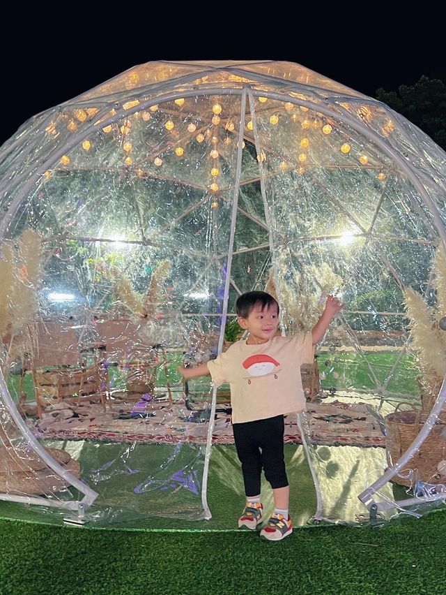 鬧市中的浪漫營地 草泥馬相伴