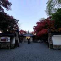 世界文化遺産【天龍寺】✨