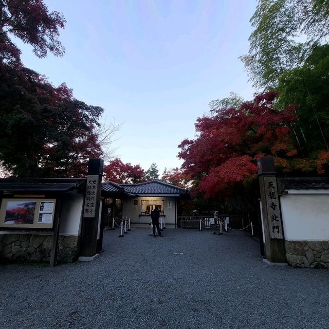 世界文化遺産【天龍寺】✨