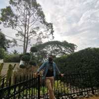 หลงคาเฟ่ พัทลุง