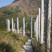The Wisdom Path 