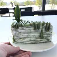 ไร่ชาฉุยฟง จ.เชียงราย 🌱..
