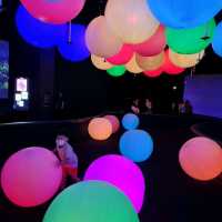 Arts Fun At The Artscience Museum