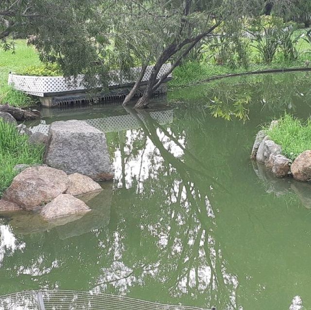 沙田中央公園