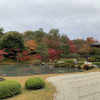 京都紅葉2022 天龍寺の紅葉