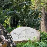 Evolution Garden