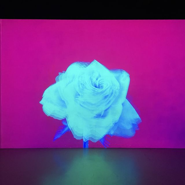 제주 가볼만한 곳 - 아르떼 뮤지엄