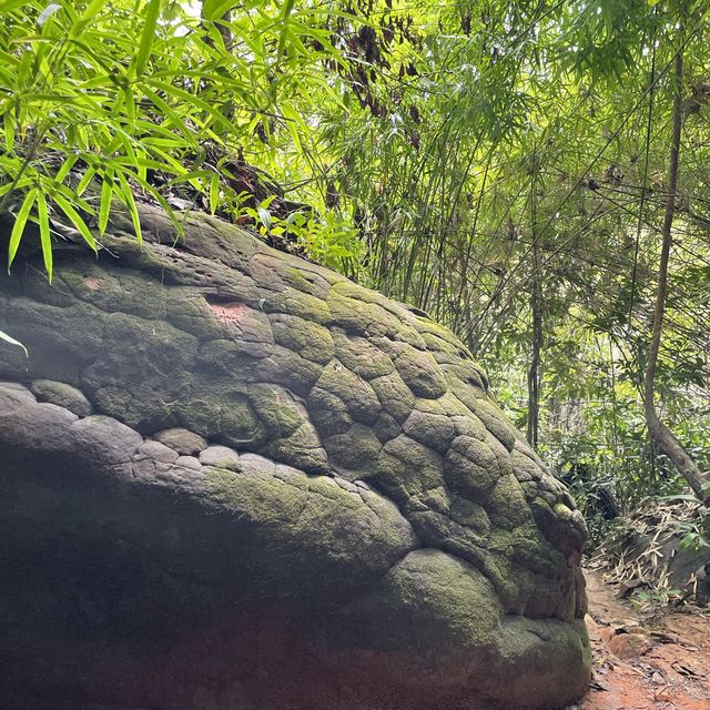 Bueng kan, land of nature