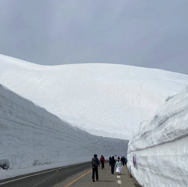 雪の大谷