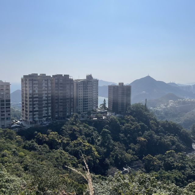  看不見盡頭的孖崗山梯級👻