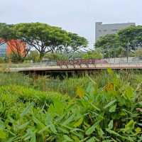 Nature Wonders at Admiralty Park